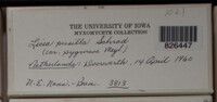 Image Associated With the Occurence